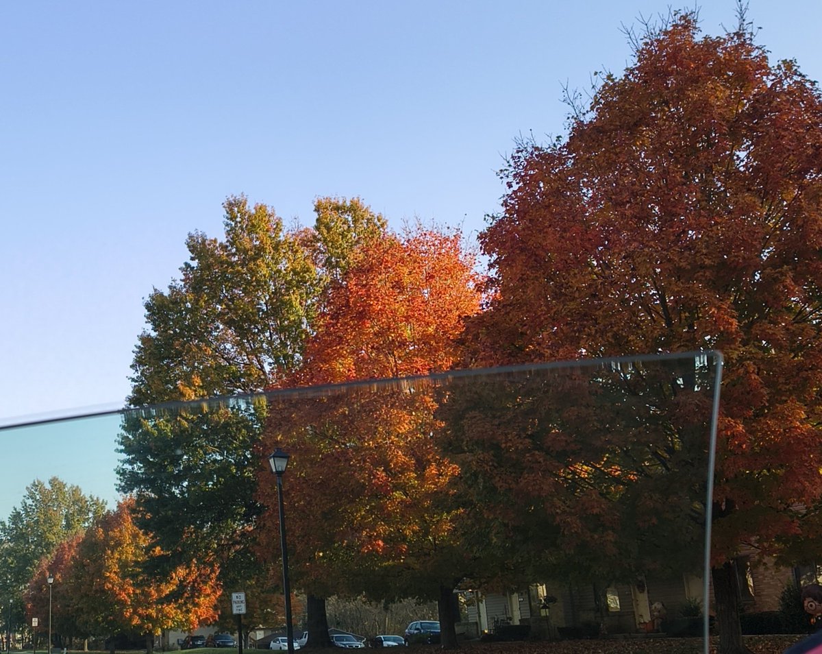 Julssszz1's tweet photo. Can't get much prettier than this in my front yard & down my street! ππβ€οΈπ€
#Fallweather https://t.co/XMk31jOw9z