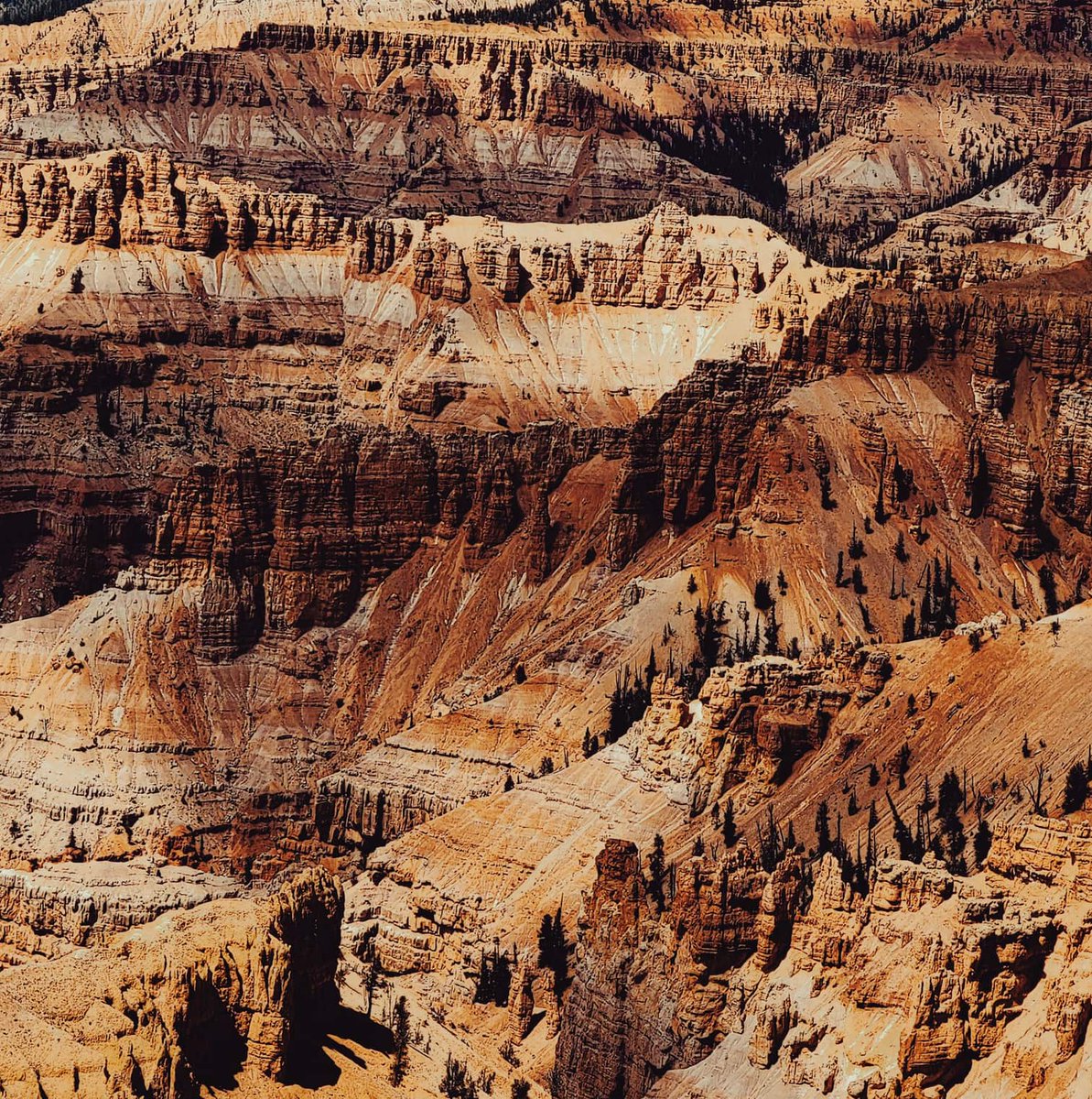 gritffpxraqsc's tweet photo. Soaking in the calm of this canyon — layered sandstone, quiet light, and not a soul in sight. The perfect break from the daily rush. #Canyon #Travel #Nature https://t.co/7CRaCHc14J