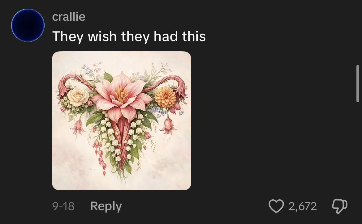 sukii_seal's tweet photo. yes i’m sure every trans woman YEARNS for the ai generated flower uterus https://t.co/wDglLN9HoG