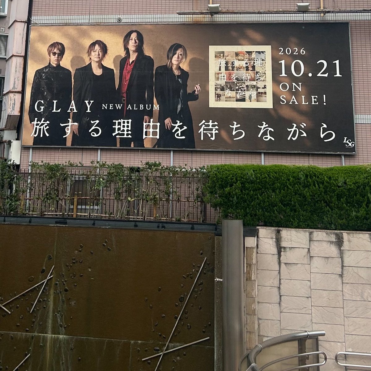 miri901er's tweet photo. 変わってた。
1週間ちょっとで葉っぱは変わりすぎ。 https://t.co/MqrfLMP4M1
