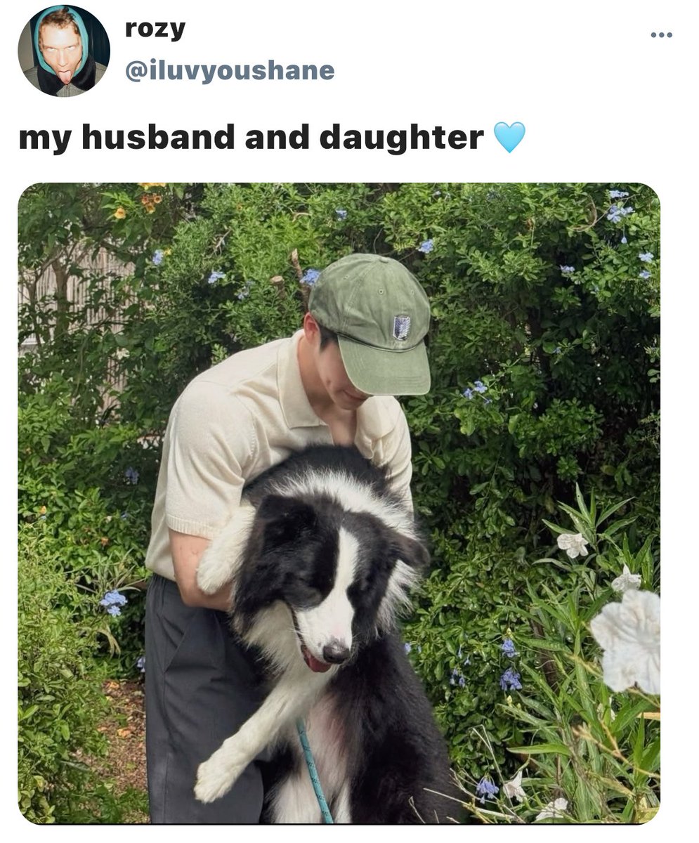mexicanesnupi's tweet photo. mini #hollanov smau 
where shane and ilya break up but decide to share custody of anya https://t.co/6nJfKKUSN3