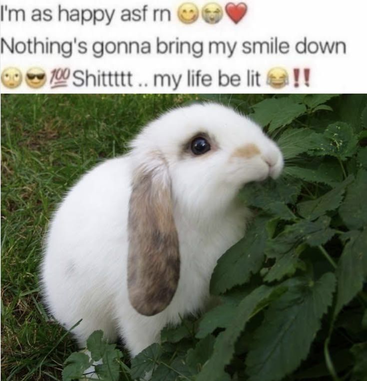Gus_Art_'s tweet photo. me when i realise that my friends love me and i love them https://t.co/dSoAaE5Av9