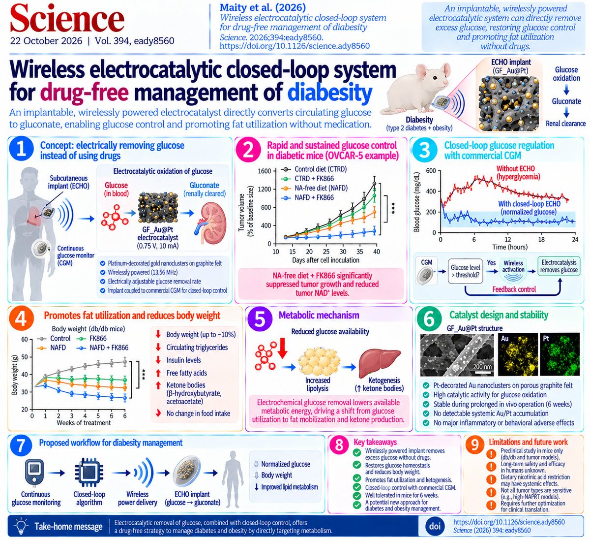 changmyung1981's tweet photo. 🧬⚡ What if we could treat diabetes and obesity by electrically removing excess glucose—without insulin or glucose-lowering drugs?

A groundbreaking study in Science introduces ECHO (Electrocatalytic Closed-Loop Health Optimization), a wirelessly powered implant that converts circulating glucose into gluconate, enabling glucose control while promoting fat utilization.

The central discovery: An implantable electrocatalyst can directly regulate glucose availability and shift systemic energy metabolism without administering drugs.

🔬 1. Engineering an implantable glucose-removal system

Researchers developed a catalyst consisting of platinum-decorated gold nanoclusters embedded in porous graphite felt (GF_Au@Pt).

When electrically activated, the device catalyzes:

Glucose → Gluconate → Predominantly renal clearance

The system operates at:

• 0.75 V

• 10 mA

• Wireless power transmission at 13.56 MHz

Unlike conventional insulin therapy, which promotes glucose uptake and utilization, ECHO directly converts glucose into a metabolite that is largely excreted.

⚡ 2. Rapid glucose normalization in diabetic mice

In obese diabetic db/db mice, wireless ECHO activation restored elevated blood glucose to the normal range within approximately 60–90 minutes.

Repeated daily stimulation maintained glycemic control for six weeks.

Importantly, no detectable hypoglycemia occurred under the tested conditions.

🧬 3. Glucose removal promotes fat utilization

After six weeks of treatment, ECHO-treated mice exhibited:

• Up to 10% body-weight reduction

• Lower circulating triglycerides

• Reduced insulin concentrations

• Increased circulating free fatty acids

• Increased β-hydroxybutyrate and acetoacetate

Food intake remained unchanged.

These results are consistent with a shift toward fat mobilization and ketone production.

The proposed metabolic sequence is:

Glucose oxidation → Reduced available metabolic energy → Increased lipid mobilization → Ketogenesis → Body-weight reduction

🔥 4. Autonomous closed-loop glucose control

The researchers integrated ECHO with a commercial continuous glucose monitor (CGM) and smartphone-controlled wireless activation.

The system:

• Continuously monitored glucose.

• Activated electrocatalysis when glucose exceeded a preset threshold.

• Automatically stopped stimulation as glucose normalized.

• Maintained glucose control over the CGM's 12-day operational lifespan.

This demonstrates a feedback-controlled therapeutic approach without insulin delivery.

🧪 5. Preliminary biocompatibility and stability

The implant maintained catalytic function during prolonged use.

Investigators reported no detectable systemic gold or platinum accumulation, substantial inflammatory response, or glucose-lowering-associated behavioral abnormalities under the tested conditions.

Blood pH remained stable, despite increased ketone production.

🎯 6. Implications for metabolic therapeutics

ECHO introduces a fundamentally different treatment concept:

Instead of pharmacologically modifying metabolic signaling, directly regulate the concentration of a circulating metabolic substrate.

Potential future applications include:

• Drug-sparing glucose management

• Closed-loop metabolic implants

• Electrically adjustable substrate clearance

• Bioelectronic approaches to obesity-associated diabetes

⚠️ Important limitations

This remains a preclinical proof of concept, primarily evaluated in db/db mice.

Human efficacy and long-term implant safety have not been established.

The physiological consequences of sustained glucose removal, altered substrate partitioning, and increased ketogenesis require further investigation.

Additionally, reductions in circulating glucose and body weight do not independently establish long-term improvements in metabolic health.

The broader implication

This study extends bioelectronic medicine beyond electrical stimulation of nerves and tissues.

Metabolism itself can potentially become an electronically controllable therapeutic target.

The next generation of metabolic devices may combine continuous sensing, catalytic chemistry, and programmable feedback to regulate circulating metabolites directly.

📄 Maity D, Guha Ray P, Buchmann P, Charpin-El Hamri G, Fussenegger M.

Wireless electrocatalytic closed-loop system for drug-free management of diabesity.

Science. 2026;394(6822). Published October 22, 2026.

DOI: https://t.co/1oiuC44F0B

#BioelectronicMedicine #Diabetes #Obesity #Diabesity #Electrocatalysis #GlucoseMetabolism #MetabolicEngineering #ContinuousGlucoseMonitoring #ClosedLoopSystems #FatOxidation #Ketogenesis #PrecisionMedicine #MetabolicHealth