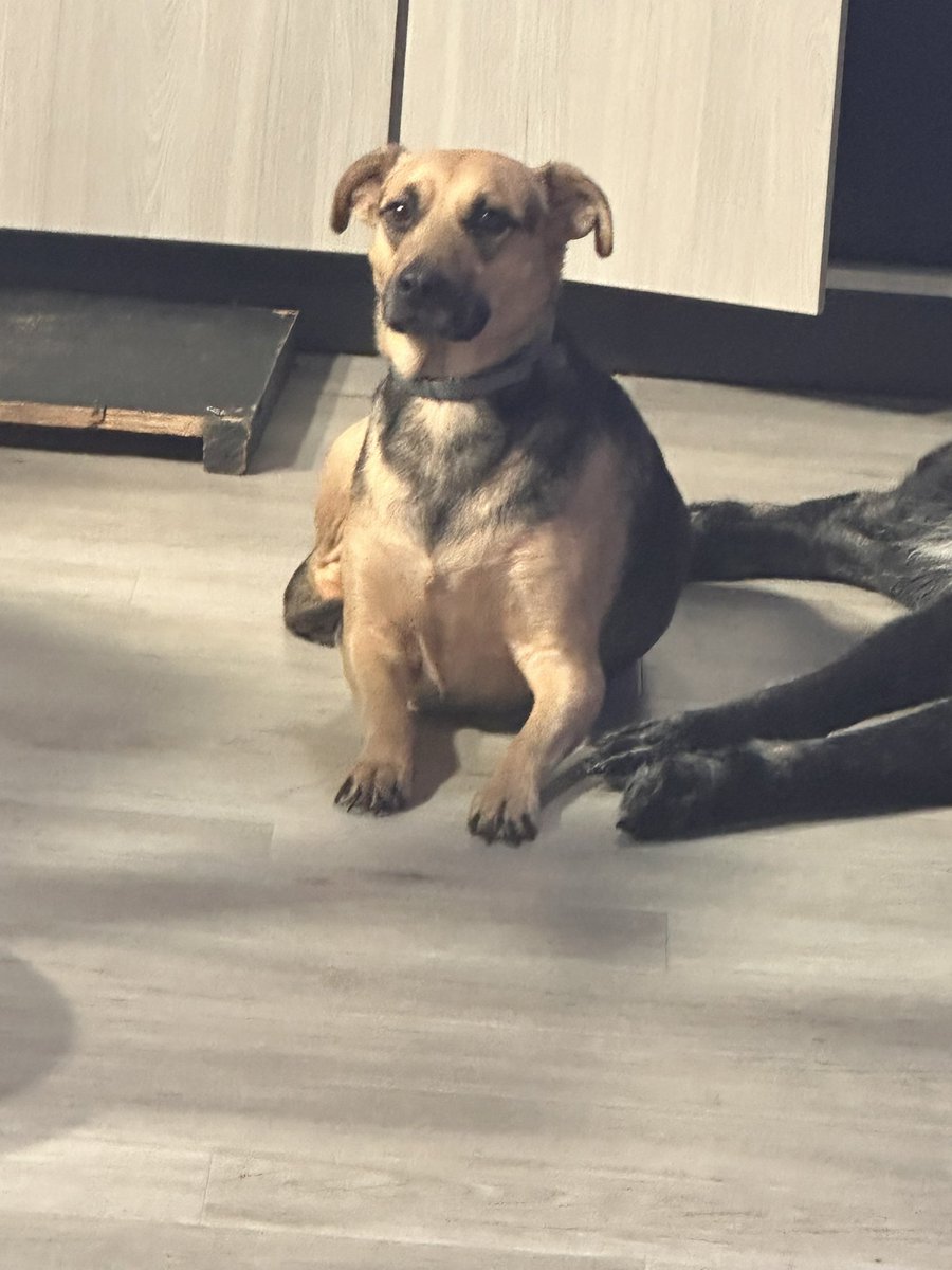 TFaulknerWPSD's tweet photo. We have some studio guests for the @WPSDLocal6 10pm newscast!! https://t.co/LZJBxcEr4V