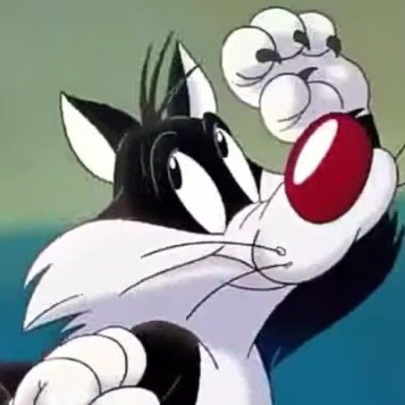 allisonyayy's tweet photo. sylvester appreciation post bc he is such a pretty kitty!!! 🤍 https://t.co/GtPxEKITUw