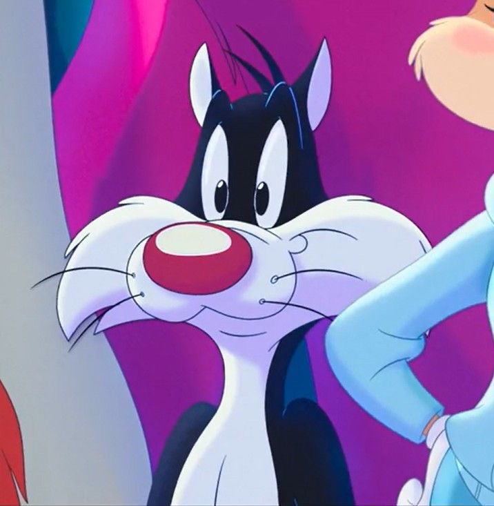 allisonyayy's tweet photo. sylvester appreciation post bc he is such a pretty kitty!!! 🤍 https://t.co/GtPxEKITUw