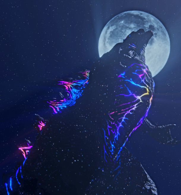 EvolvedGoji24 tweet picture