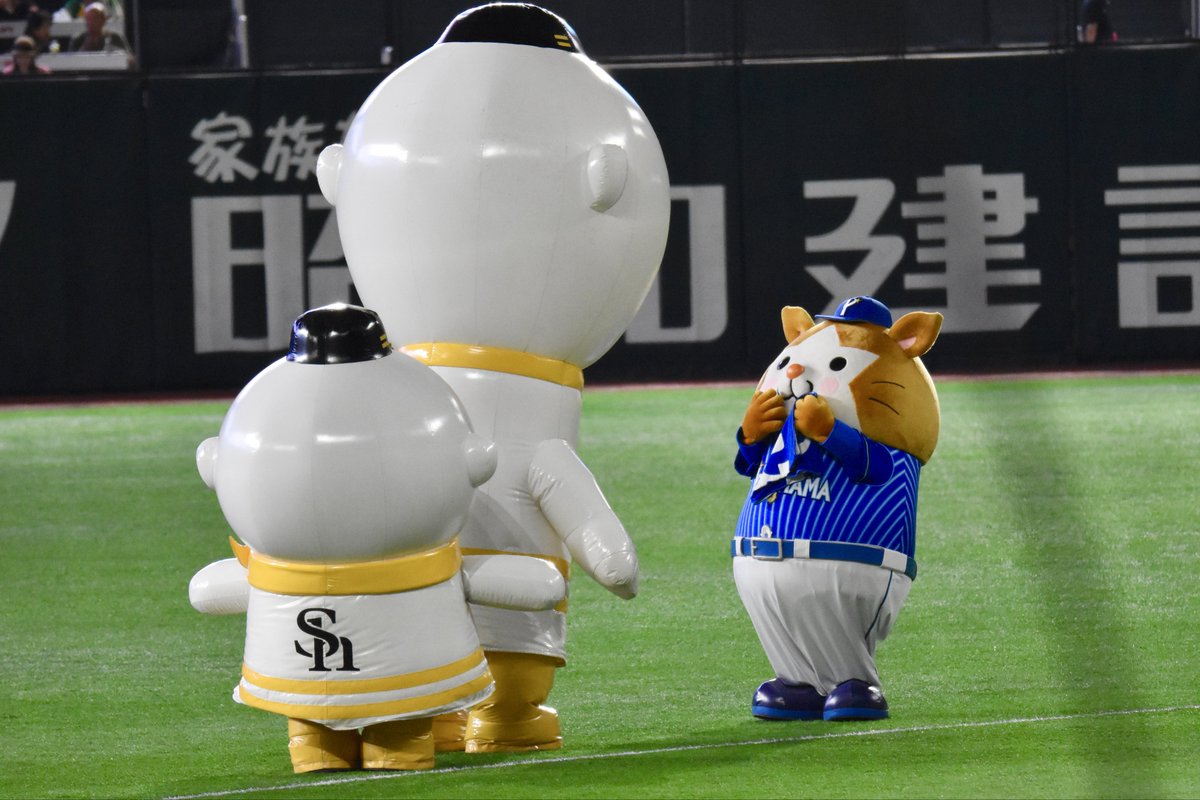 _etoile07_'s tweet photo. ＼日本シリーズでは負けないぞ❗️🐹🌟／
#スターマン可愛い選手権
#baystars
#スターマン https://t.co/dgZzwZxHfv