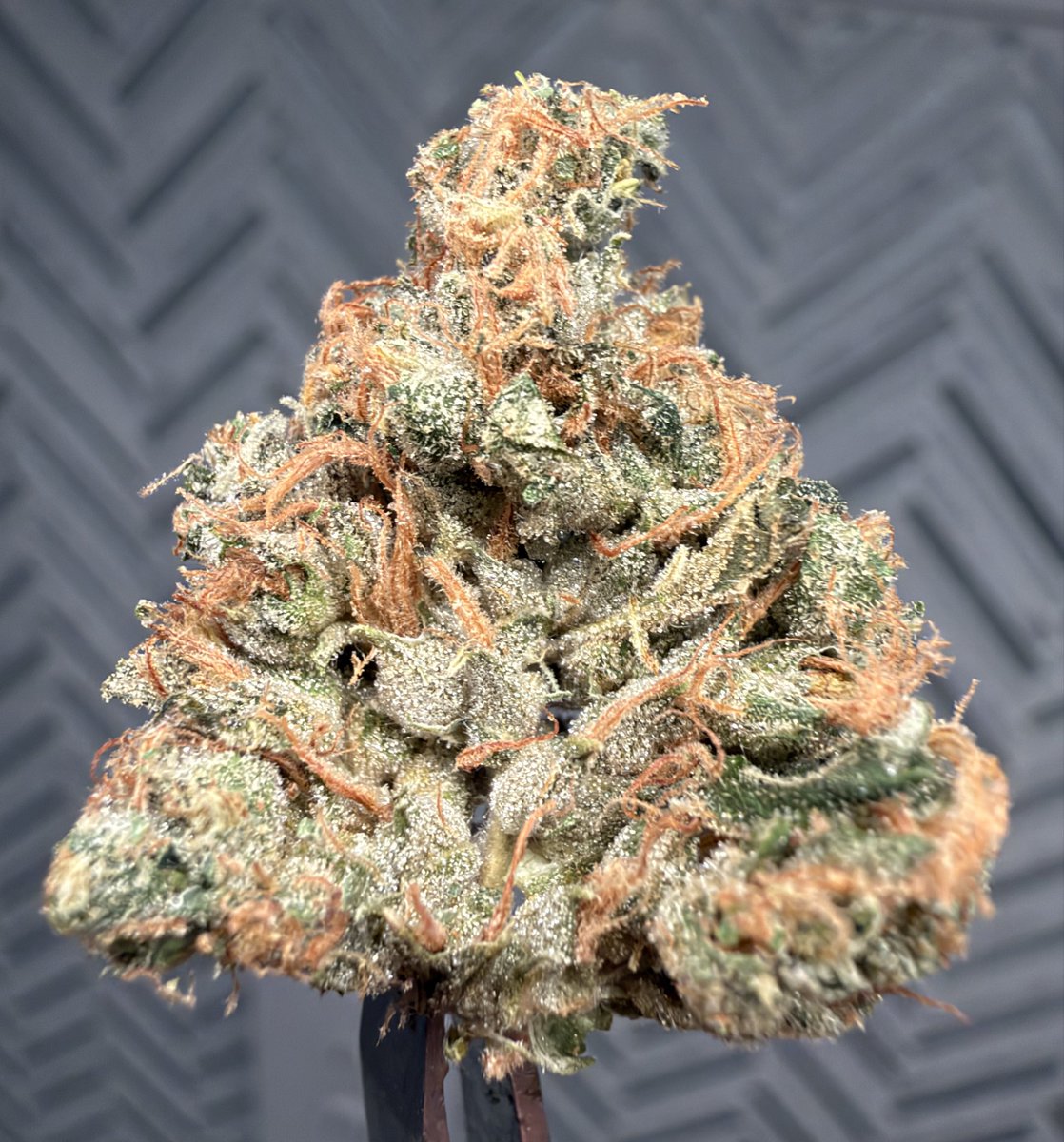 B58_TX's tweet photo. Sour Diesel S1 

@xPiXiESTiX 
@PacksFifthAve https://t.co/R4j6t51bu7