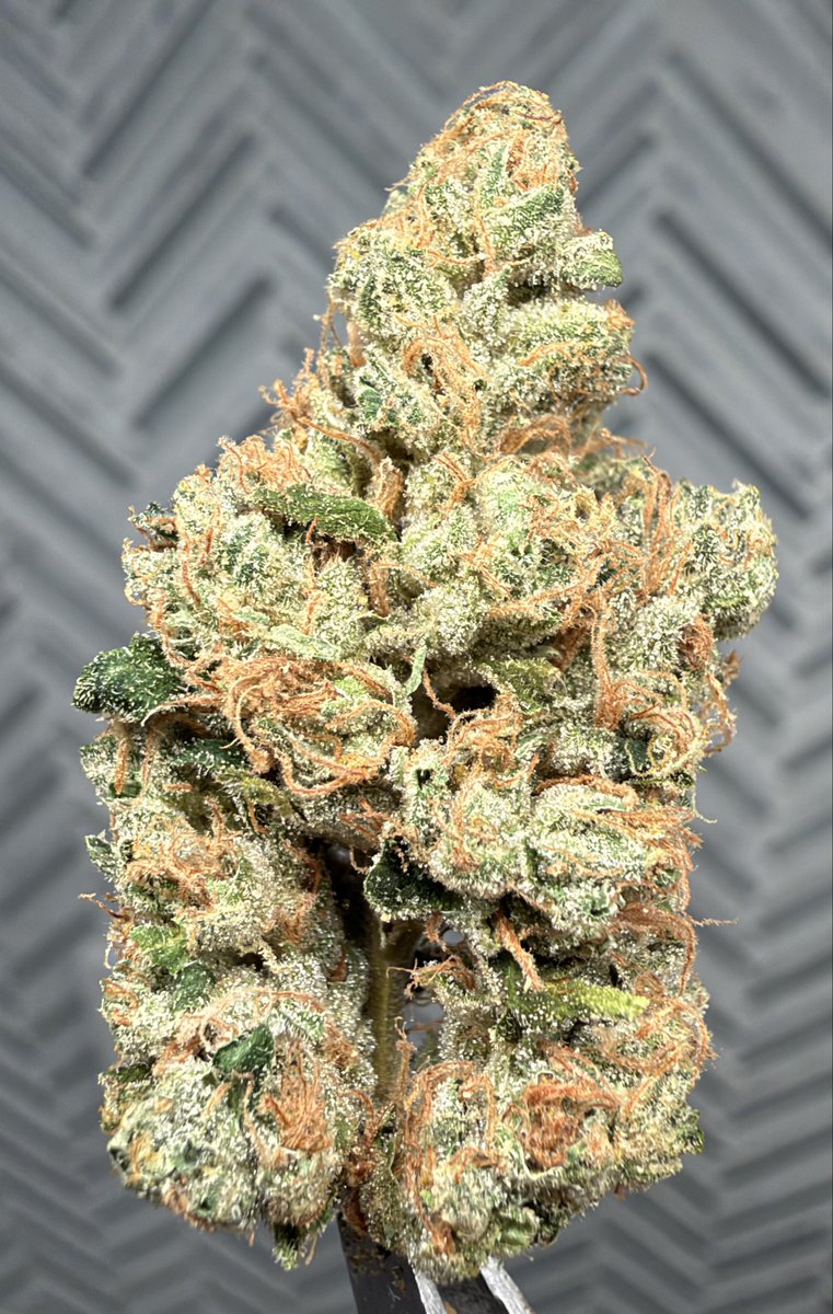 B58_TX's tweet photo. Sour Diesel S1 

@xPiXiESTiX 
@PacksFifthAve https://t.co/R4j6t51bu7