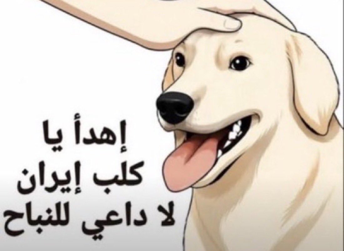 Saudi_hitler1's tweet photo. @Alawi_Jahaf كلكم تحت رجلي https://t.co/WDjnip2Hb3