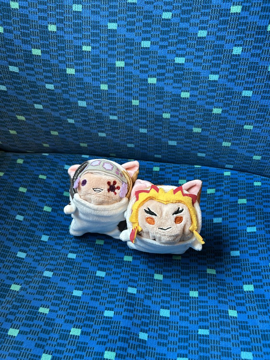 nazunaju's tweet photo. 向かう！
今日はおにゃんこ🐱な２人
🚅にも乗り慣れたね😆 https://t.co/7xIpMKlA0d