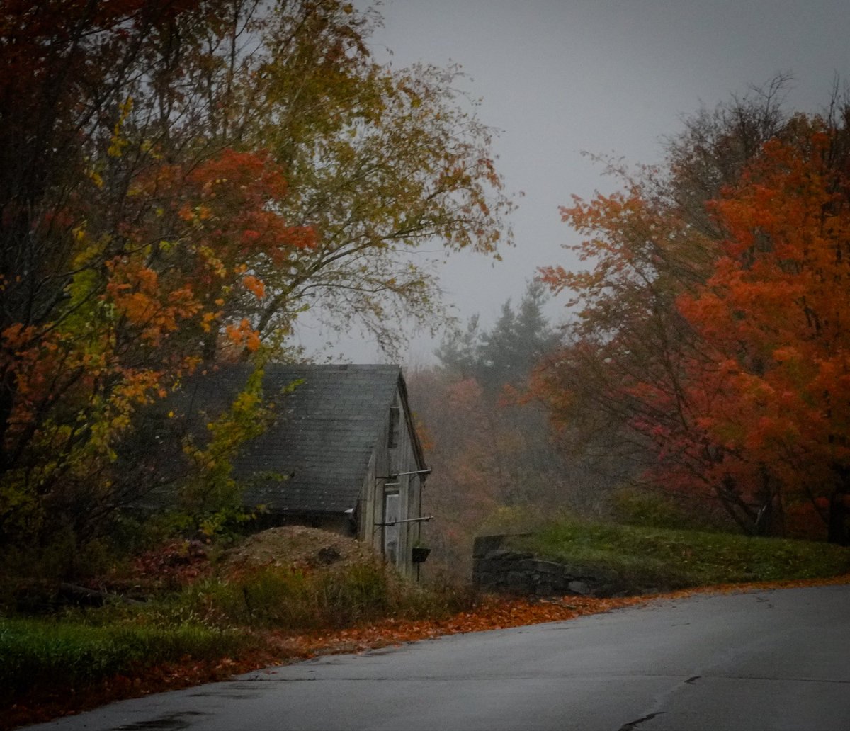 RadbehT's tweet photo. Autumn in New England https://t.co/uZaniFErK4