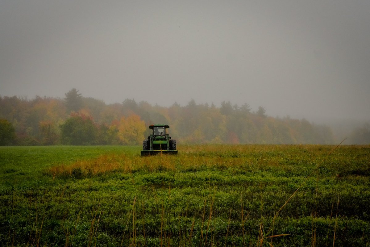 RadbehT's tweet photo. Autumn in New England https://t.co/uZaniFErK4
