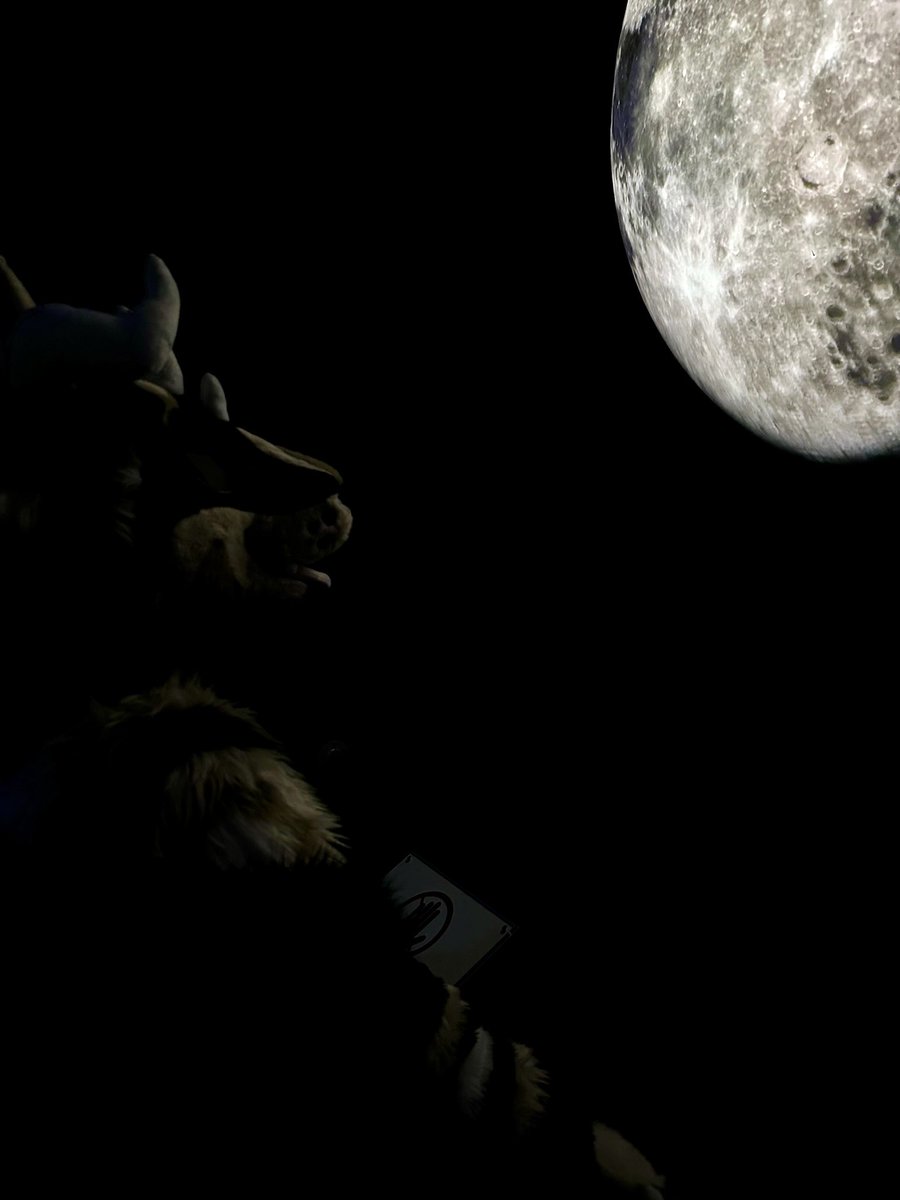akraszehfoxo's tweet photo. A new moon is rising..

#FursuitFriday https://t.co/4fluoe7f5U