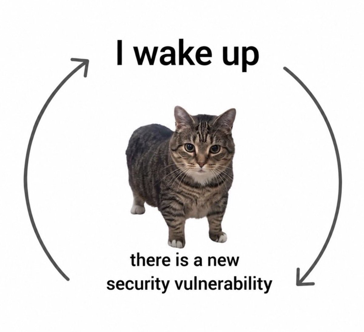 HeySannidhi's tweet photo. ¯\_(ツ)_/¯
#PHP #WordPress #HTTP2SHELL #SoftwareDevelopment #SoftwareUpdates https://t.co/mEFV61VtEg