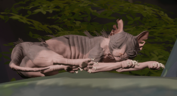 rabidwooloo's tweet photo. hey guys which character should get the most detailed model in the official warrior cats rpg that people have been begging for for 20+ years? i think it should be the bald freak who has no lines and only appears as a background cameo in one specific area https://t.co/UPS3hUIRE9