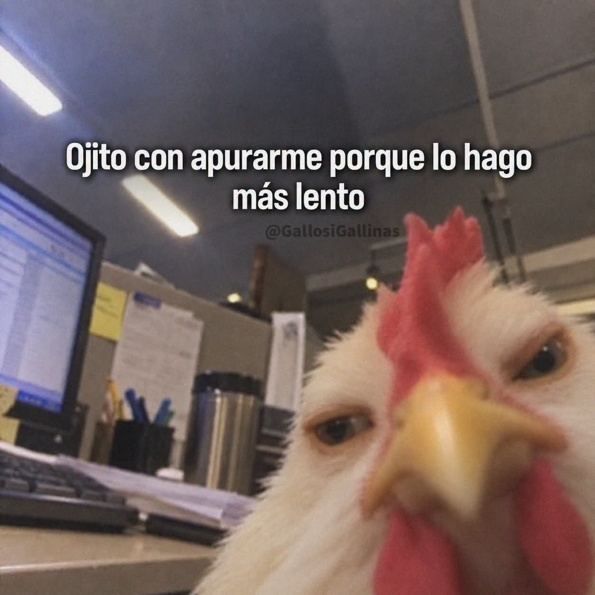 CarmenPerefl's tweet photo. https://t.co/rMvGO40Gzr