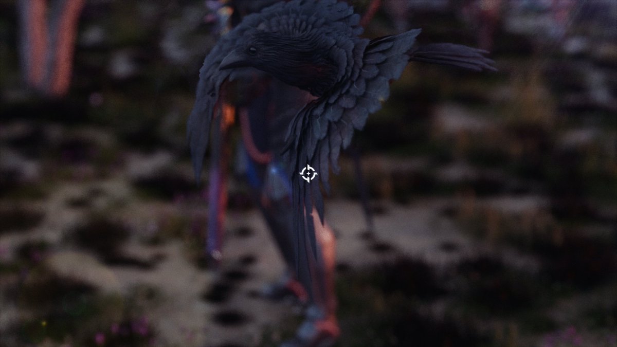 CoreyIsFake's tweet photo. #ApexLegends https://t.co/yKYNPAel0F