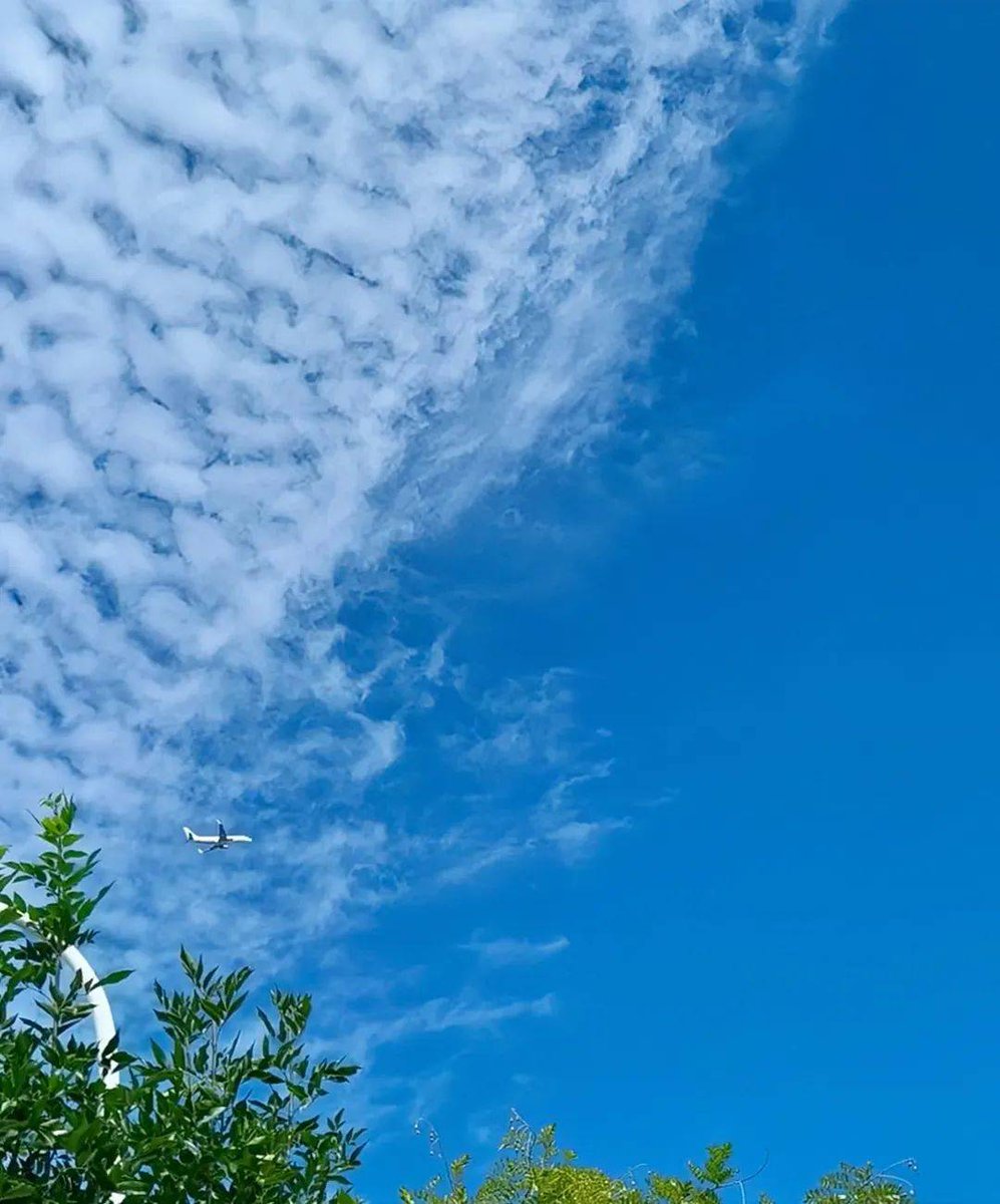 hMmxE4824f9N0nx's tweet photo. 赣坑蓝の清々しい空気、心まで晴れやかになります！ https://t.co/vE1uUaB8a5
