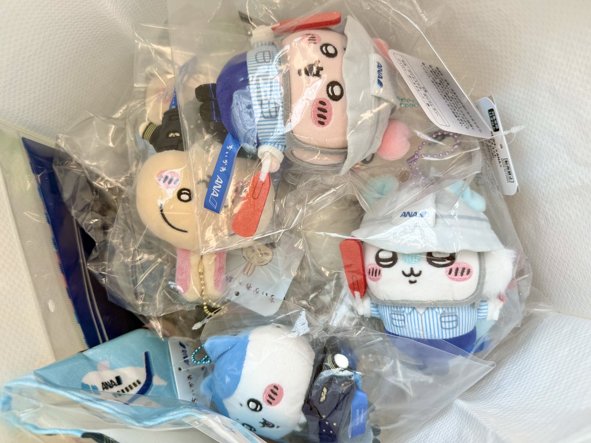 RedStatan22's tweet photo. 福岡空港へ✈️⭐️
ANAコラボの先着が取れていたので、行ってきました😁

無事みんなをお迎え🥹✨

あとはみんなを我が家まで連れて帰ること🫡
家に帰るまでがちい活だからね😎✨ https://t.co/3WRNgnSOoc