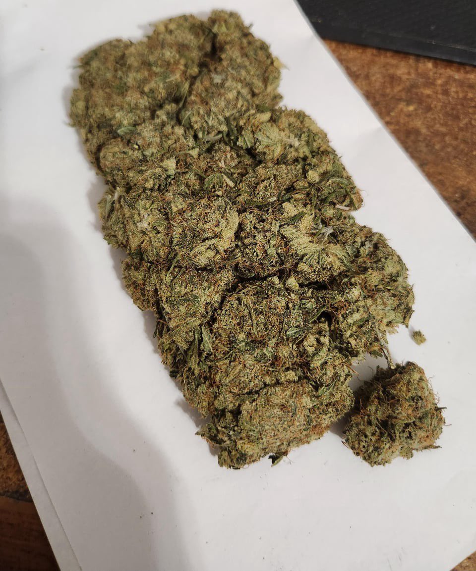 HashnHoops's tweet photo. Medical grower Native Veteran in Oklahoma is selling brick weed for $135 a zip. But it’s not compressed shake/trim, it’s full size buds stuck together. Would you ever try something like this? https://t.co/aWyup4Noas
