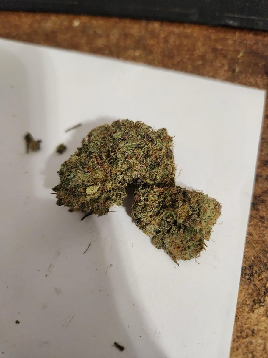 HashnHoops's tweet photo. Medical grower Native Veteran in Oklahoma is selling brick weed for $135 a zip. But it’s not compressed shake/trim, it’s full size buds stuck together. Would you ever try something like this? https://t.co/aWyup4Noas