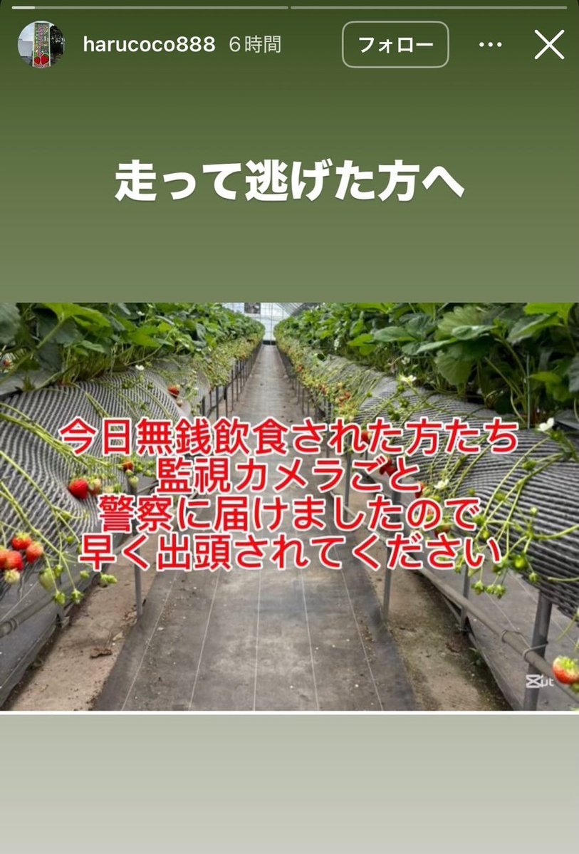 Alchemy_19's tweet photo. いちご狩り（大分県のアクトいちごファームってところ）で無銭飲食して警察呼んでる間に逃げる親やばすぎ https://t.co/oeagPIKz3v