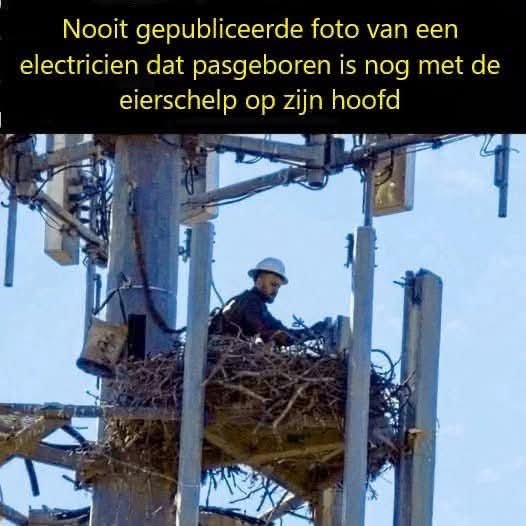 ElcodeGroot2's tweet photo. https://t.co/gOWCAWjkcK