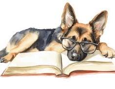 SueDavi31048088's tweet photo. @ERPDF RPD Bella is very busy revising  for this evenings quiz 🐾🐾 https://t.co/TVQ0pazAdS