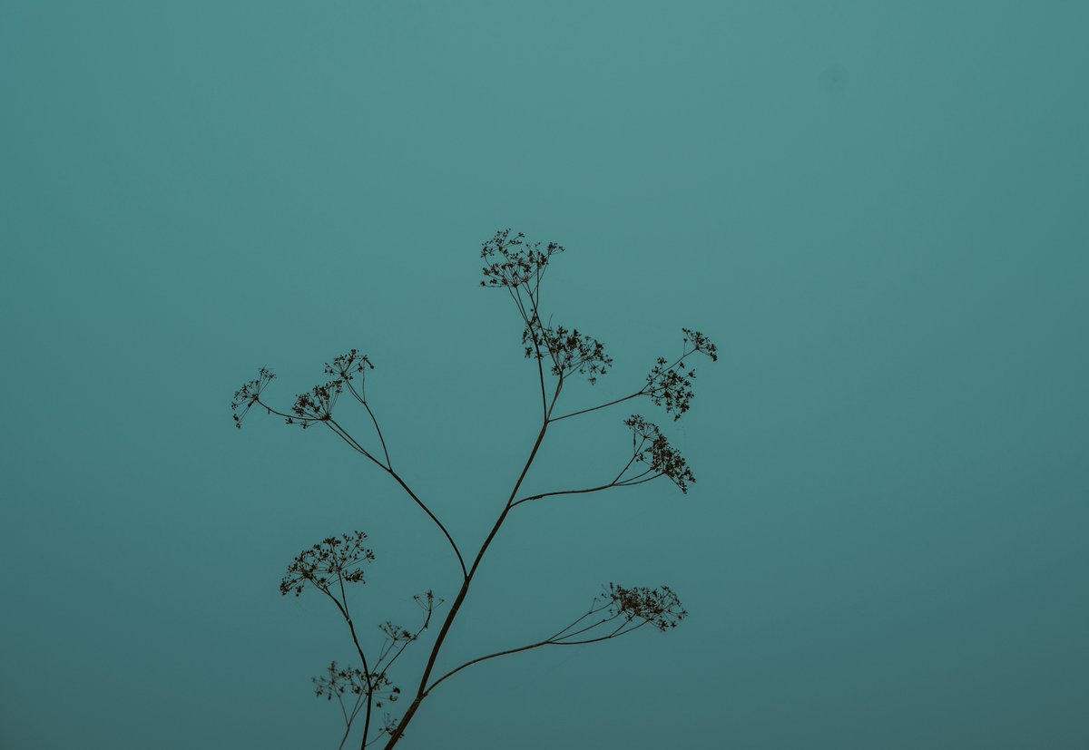 zosphotos's tweet photo. Moody dark days https://t.co/VUt232QfLd