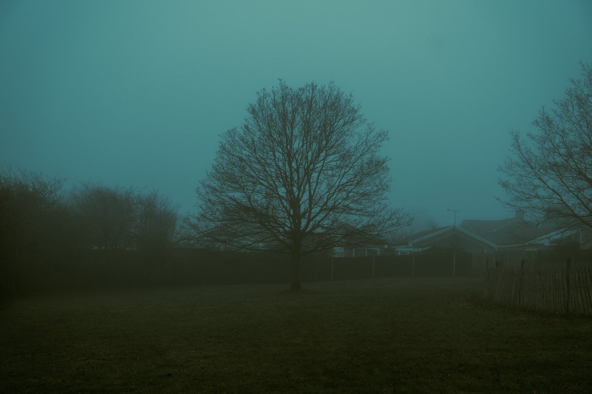 zosphotos's tweet photo. Moody dark days https://t.co/VUt232QfLd