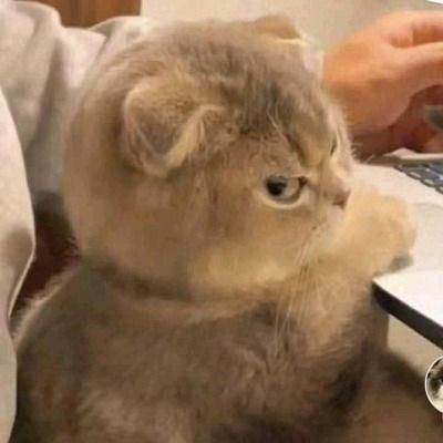 rosavelry's tweet photo. Mulai, deh. Mulai nyerah sama akunya. Mulai. https://t.co/eRcCfUhuKp