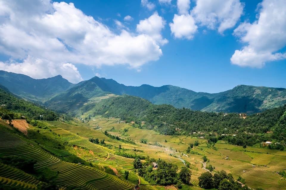 rose_luis's tweet photo. Sapa’s green terraces will soon turn golden as harvest season arrives, creating one of Northern Vietnam’s most breathtaking landscapes. Are you ready to walk among the golden fields? https://t.co/RR1A6Iaojv