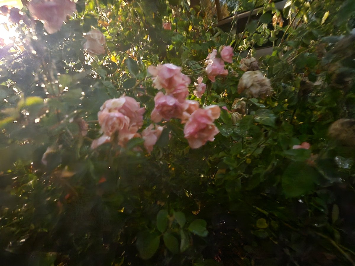 428Cats's tweet photo. I am https://t.co/1kFWRRnzVy