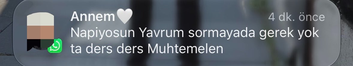 bubigunlukgibi's tweet photo. bizim hayatimiz stresli maalesef https://t.co/VgIzKVqpr6