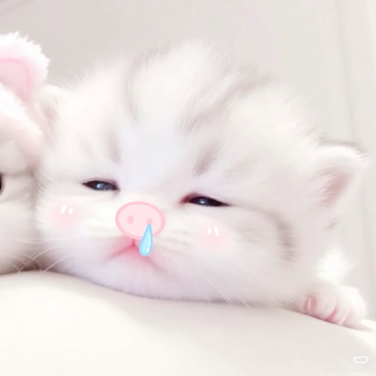 buniezsecret's tweet photo. #хрю🐽~♡ https://t.co/FZPYPqsr4q