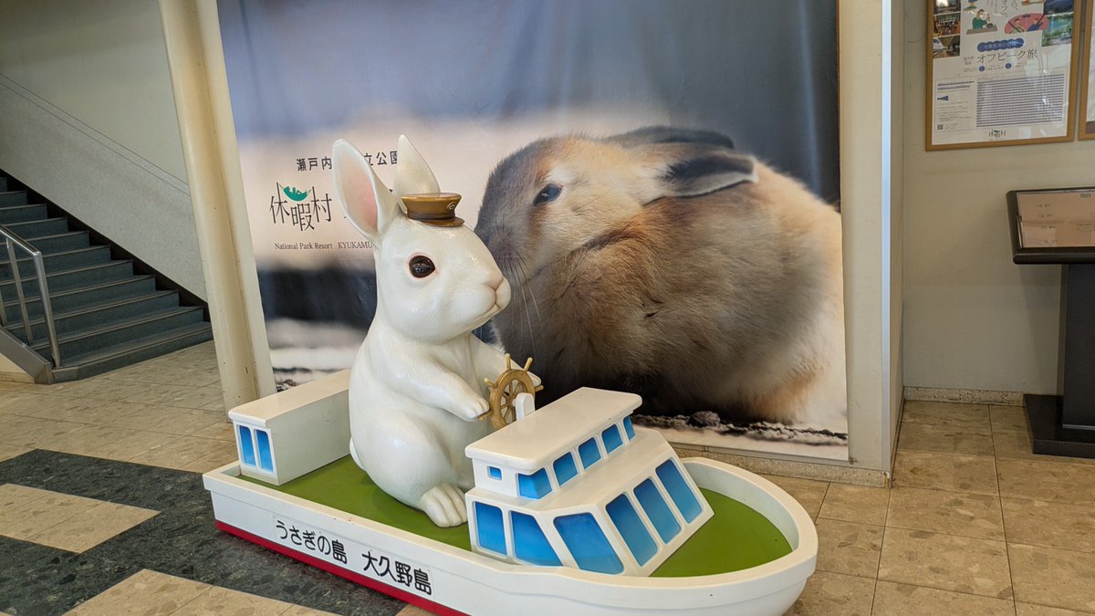 mifuyu_rain's tweet photo. このアイコンのうさぎを撮った場所、大久野島 https://t.co/cHX2w4w9EZ