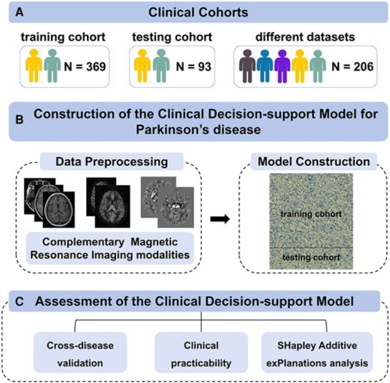 ScienceofPD's tweet photo. Researchers propose a new model based on complementary MRI modalities to provide an objective clinical decision-support measure for #Parkinsons with potential applications in other parkinsonisms (multiple system atrophy, progressive supranuclear palsy)
https://t.co/SC3sYuT22p https://t.co/73Zxwzlwjq