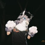 Photo by ThunderSnep🇦🇺 🔜 NFC2027 (@rollinthunder05)