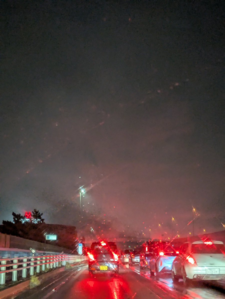 sincereplain's tweet photo. 帰り道は大渋滞🛑
観覧車で「せいごのこと、もっと知りたい」って言うから、車内で過去（何回も性病、何度も自殺未遂、現在無職）洗いざらい全て話したら、運転席で泣き始めて「今夜もウチに泊まる？」って言われた🏎️

正直ビックリしたし、ワンナイトだけの関係かと思ってたのに😐️ https://t.co/NWq9VsakeH