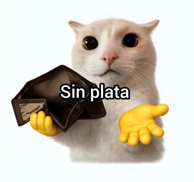 Azmo_Deuzzvt's tweet photo. @AsukaKyu no, porque https://t.co/goPoHVjWzx