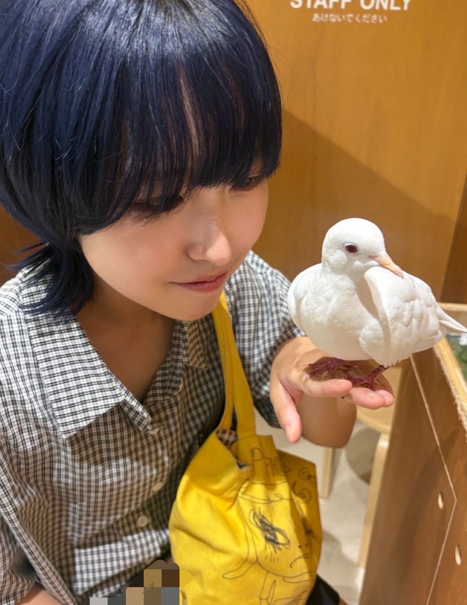 AsahiMiurakk's tweet photo. メンバーに初めて会ったときは、青髪だったんだ！
鳥さんとあさひ𓅫⸒⸒ https://t.co/E98v1f53jl