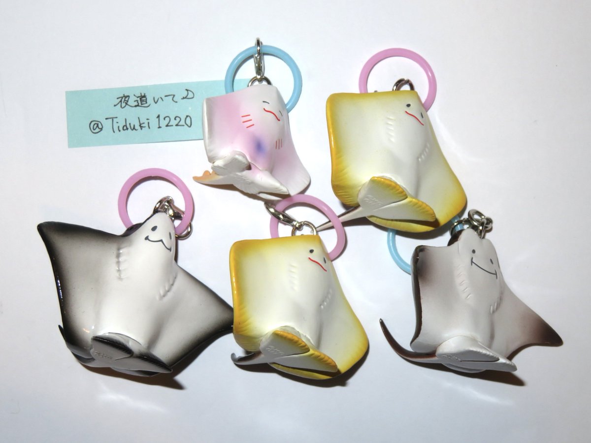Tiduki1220's tweet photo. 【交換】エイの裏側かわいい マーカーチャーム
ガチャ カプセルトイ フィギュア

譲：マダラトビエイ×1、ウシバナトビエイ×1、あかちゃんエイ×1、アカエイ×2

求：エイの干物×♾️

郵送での交換希望です。
開封済みになりますが、それでもよろしい方はお気軽にお声がけください♪ https://t.co/EkaYb0taq6