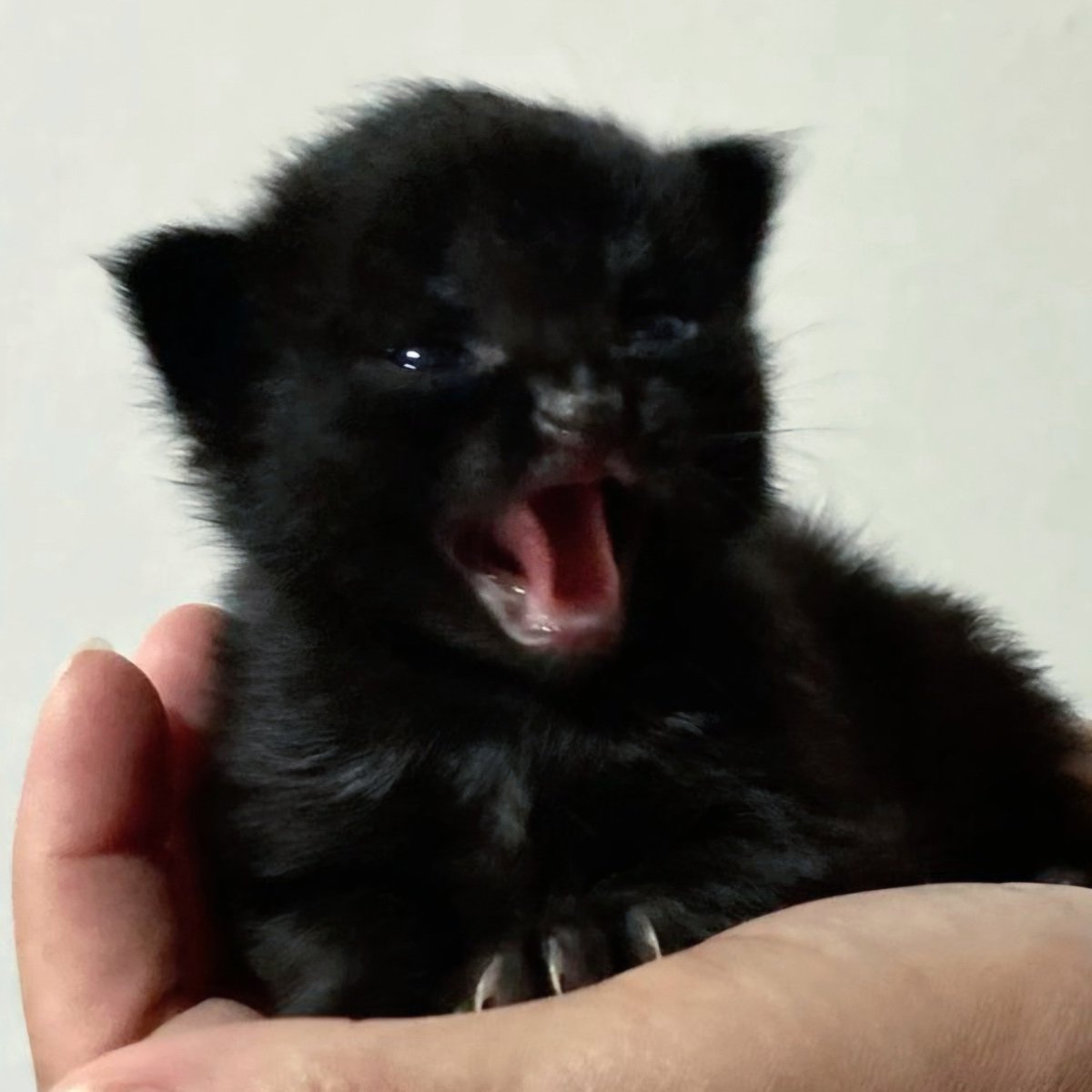justonlyme1919's tweet photo. น่าจัววววววว😖 https://t.co/zvoFWUFZxF
