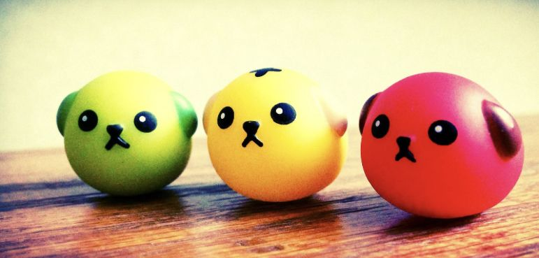 gummyism's tweet photo. Let's Be Tiny Together #mameshiba https://t.co/thTGrq5PN3