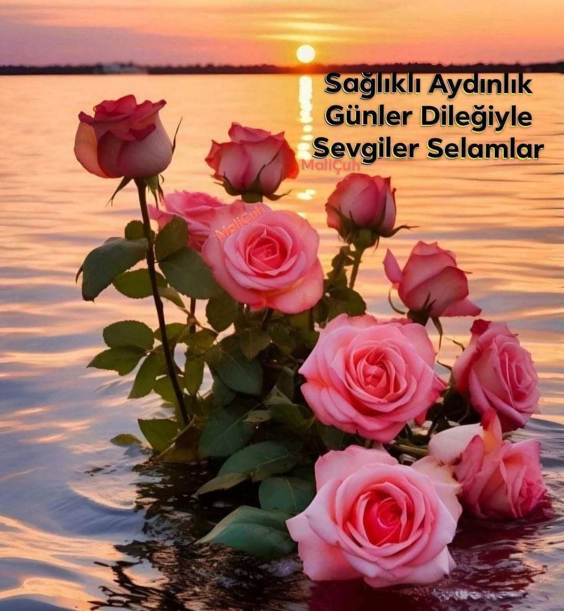 MustafaBek88815's tweet photo. @SevdalS75421 https://t.co/OrajtwiXEl