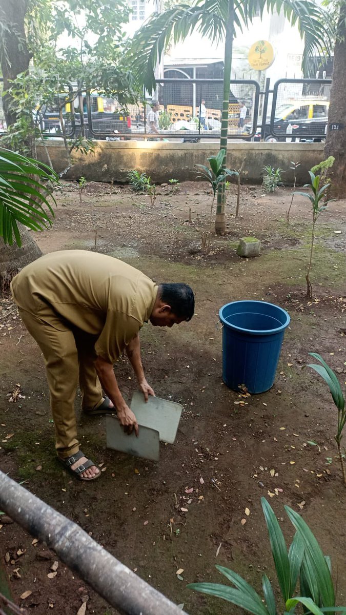 mybmcWardFS's tweet photo. विशेष स्वच्छता मोहीम 

बृहन्मुंबई महानगरपालिकेच्या 'एफ/ दक्षिण' विभागातील परेल येथील किंग एडवर्ड मेमोरियल महानगरपालिका रुग्णालय येथे विशेष स्वच्छता मोहीम राबविण्यात आली. स्वच्छतेच्या उपक्रमात विभागातील अधिकारी व कर्मचारी यांनी उत्साहाने सहभाग घेतला.

#MyBMCUpdate
#स्वच्छमुंबई https://t.co/Ffs30f4bx0