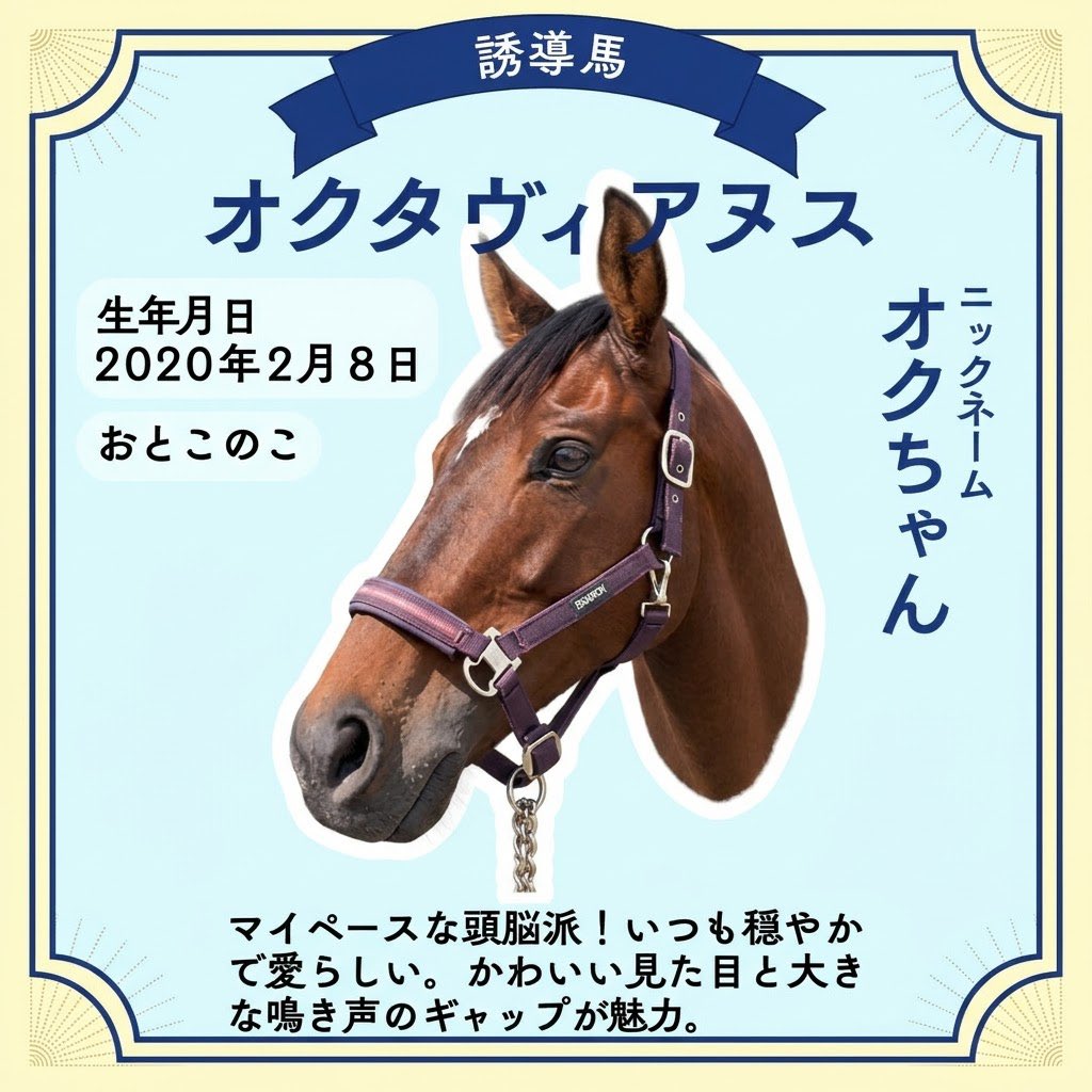 JRA_Niigata tweet picture