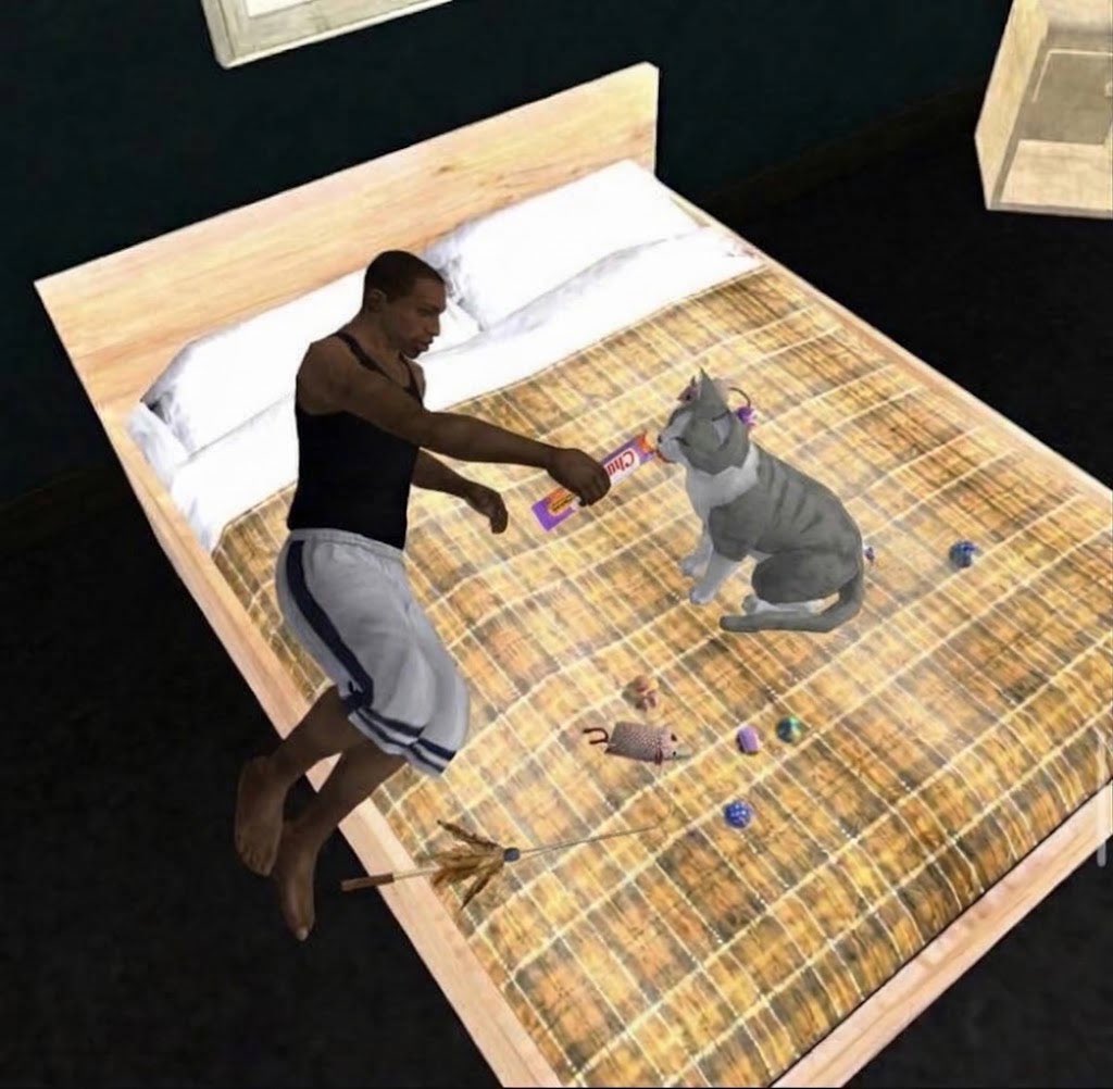 MHIVL's tweet photo. Life with cats https://t.co/ZaEYiWTR3n